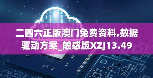二四六正版澳門兔費資料,數據驅動方案_觸感版XZJ13.49
