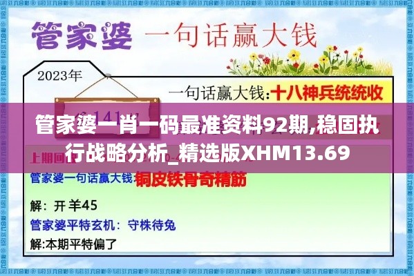 管家婆一肖一碼最準資料92期,穩固執行戰略分析_精選版XHM13.69