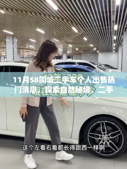 11月58同城二手車交易之旅,遠離塵囂,探索自然秘境的熱門選擇