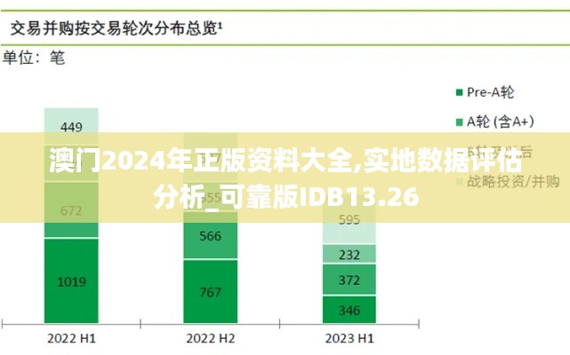 澳門2024年正版資料大全,實地數據評估分析_可靠版IDB13.26
