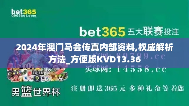 2024年澳門(mén)馬會(huì)傳真內(nèi)部資料,權(quán)威解析方法_方便版KVD13.36
