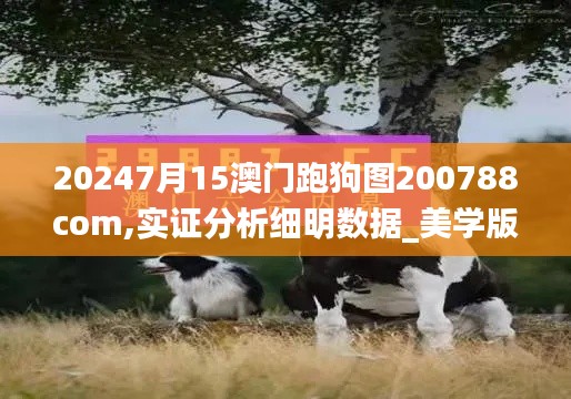 20247月15澳門跑狗圖200788com,實證分析細明數據_美學版KCH13.73