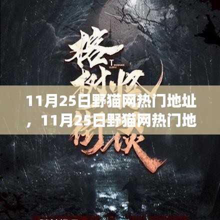 揭秘野貓網(wǎng)熱門地址背后的故事,背景、事件、影響與時代地位解析