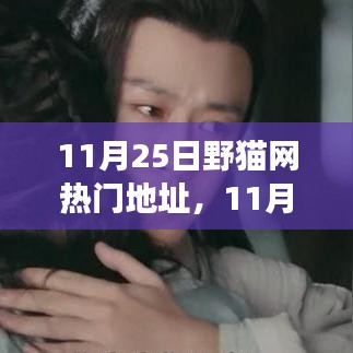 揭秘野貓網(wǎng)熱門地址背后的故事,背景、事件、影響與時代地位解析