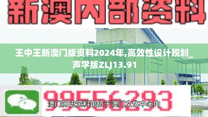王中王新澳門版資料2024年,高效性設計規劃_聲學版ZLJ13.91