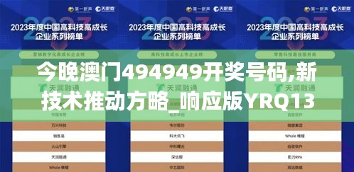 今晚澳門494949開獎號碼,新技術推動方略_響應版YRQ13.16