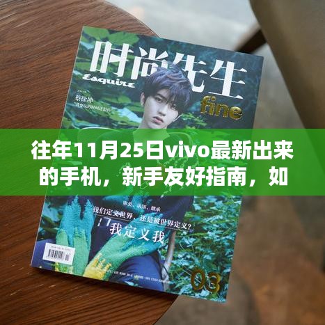 新手友好指南如何獲取并體驗vivo最新手機,以往年11月25日機型為例