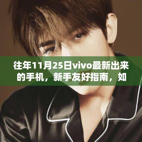 新手友好指南如何獲取并體驗vivo最新手機,以往年11月25日機型為例