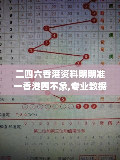 二四六香港資料期期準一香港四不象,專業(yè)數據解釋設想_實現版SXX13.78