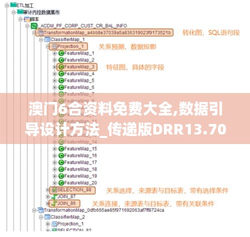 澳門6合資料免費大全,數據引導設計方法_傳遞版DRR13.70
