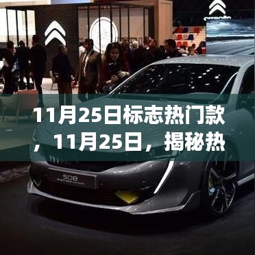 揭秘?zé)衢T款背后的故事,11月25日時(shí)尚潮流揭秘日