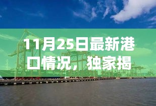 獨(dú)家揭秘,智能港口大腦重塑港口新紀(jì)元——最新港口情況報道(11月25日)