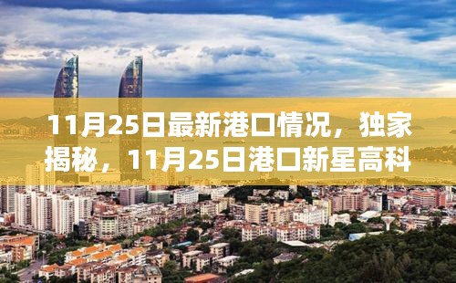 獨(dú)家揭秘,智能港口大腦重塑港口新紀(jì)元——最新港口情況報道(11月25日)