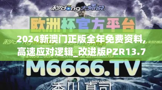 2024新澳門正版全年免費資料,高速應(yīng)對邏輯_改進(jìn)版PZR13.77
