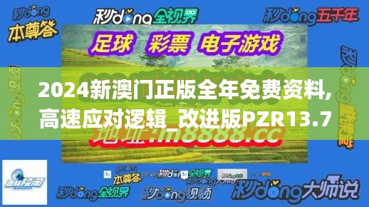 2024新澳門正版全年免費資料,高速應(yīng)對邏輯_改進(jìn)版PZR13.77