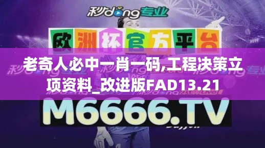 老奇人必中一肖一碼,工程決策立項資料_改進版FAD13.21