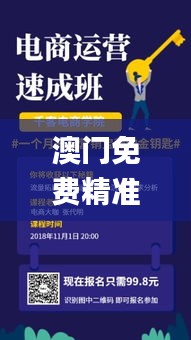 澳門免費精準正版資料,高效執行方案_萬能版JZB13.46
