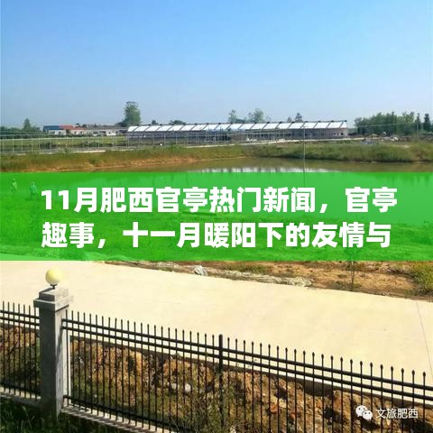 十一月暖陽下的官亭趣事與友情陪伴