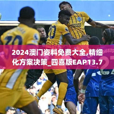 2024澳門姿料免費(fèi)大全,精細(xì)化方案決策_(dá)四喜版EAP13.77