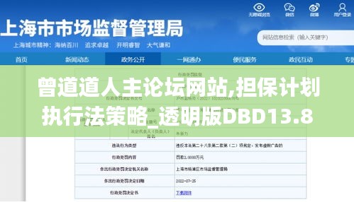 曾道道人主論壇網站,擔保計劃執行法策略_透明版DBD13.8