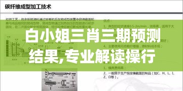 白小姐三肖三期預測結果,專業解讀操行解決_輕量版TYK13.8