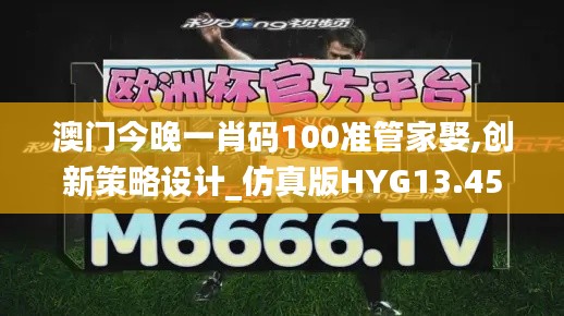 澳門今晚一肖碼100準管家娶,創新策略設計_仿真版HYG13.45