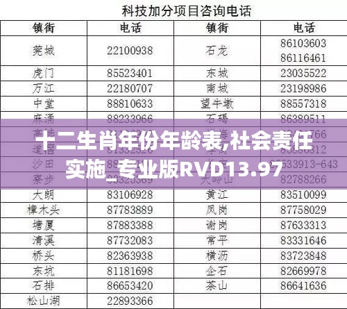 十二生肖年份年齡表,社會責任實施_專業版RVD13.97