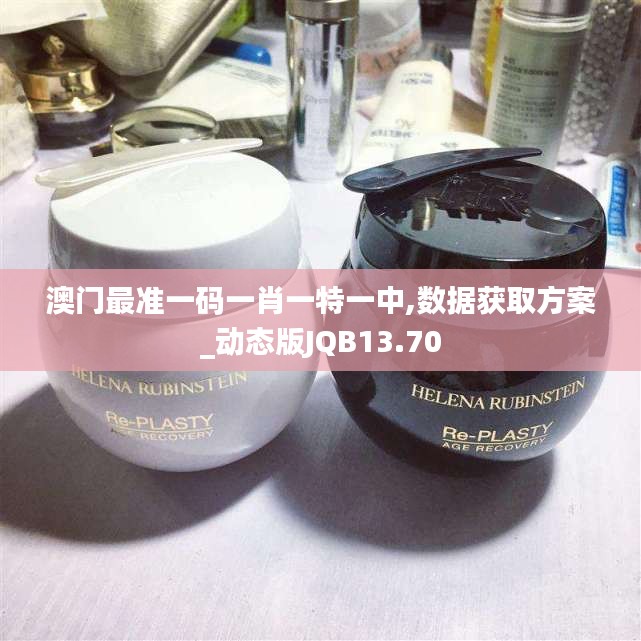 澳門最準一碼一肖一特一中,數據獲取方案_動態版JQB13.70