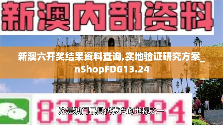 新澳六開獎結(jié)果資料查詢,實地驗證研究方案_nShopFDG13.24