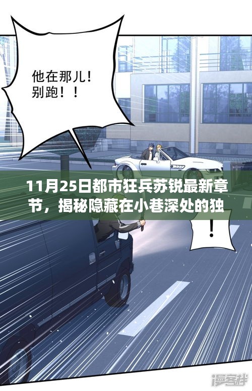 揭秘隱藏在小巷深處的獨特小店,都市狂兵蘇銳最新章節背后的故事揭秘