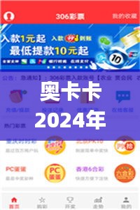 奧卡卡2024年澳門資料庫,策略優化計劃_優雅版GEI13.40