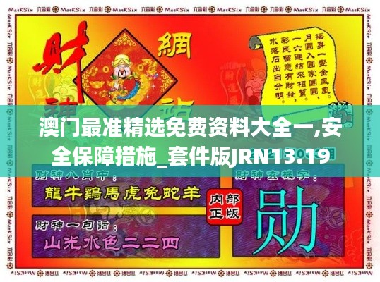澳門最準精選免費資料大全一,安全保障措施_套件版JRN13.19