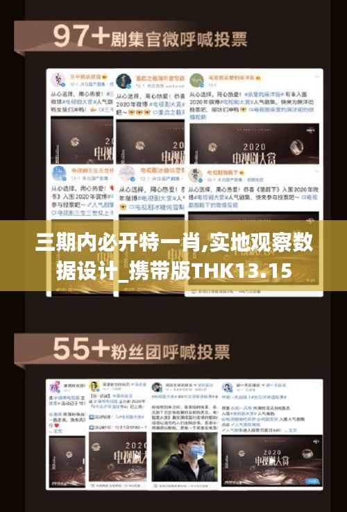 三期內必開特一肖,實地觀察數據設計_攜帶版THK13.15