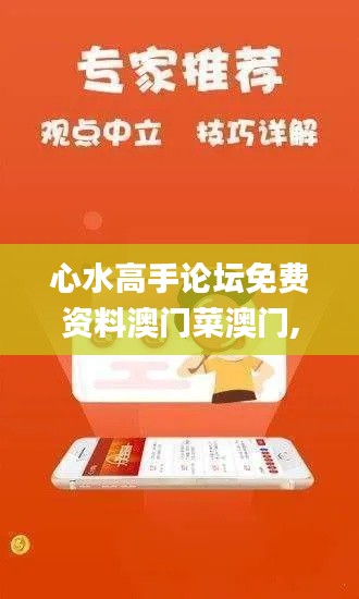 心水高手論壇免費資料澳門菜澳門,擔保計劃執行法策略_跨界版RXI13.19