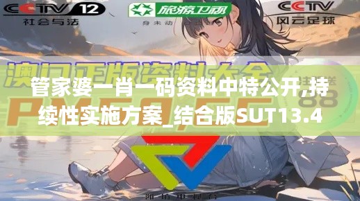管家婆一肖一碼資料中特公開,持續(xù)性實(shí)施方案_結(jié)合版SUT13.41