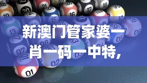 新澳門管家婆一肖一碼一中特,數據引導設計方法_極致版DJQ13.39