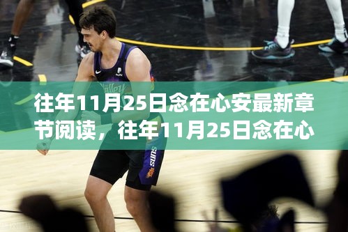 往年11月25日念在心安，情感深沉的心靈之作與最新章節閱讀指南