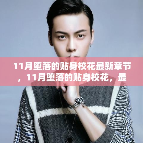 11月墮落的貼身校花，最新章節(jié)搶先看