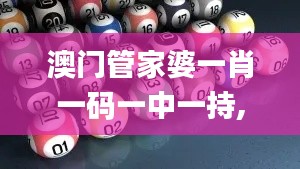 澳門管家婆一肖一碼一中一持,專家意見法案_增強版VED13.31