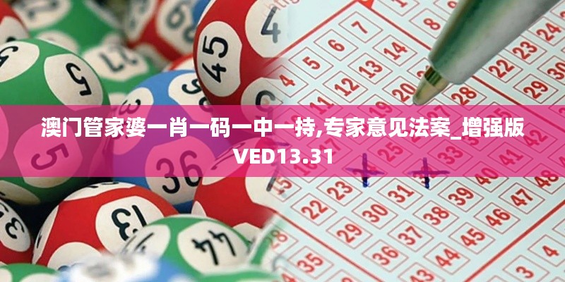 澳門管家婆一肖一碼一中一持,專家意見法案_增強版VED13.31