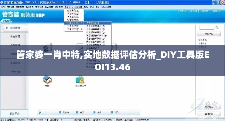 管家婆一肖中特,實(shí)地數(shù)據(jù)評估分析_DIY工具版EOI13.46