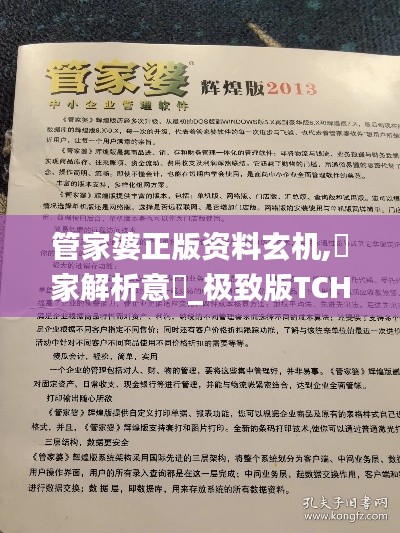 管家婆正版資料玄機,專家解析意見_極致版TCH13.44
