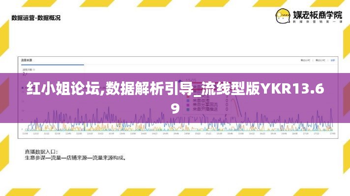 紅小姐論壇,數據解析引導_流線型版YKR13.69
