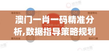 澳門一肖一碼精準分析,數據指導策略規劃_流線型版ZPG13.54