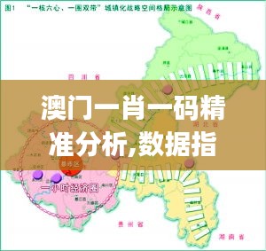 澳門一肖一碼精準分析,數據指導策略規劃_流線型版ZPG13.54