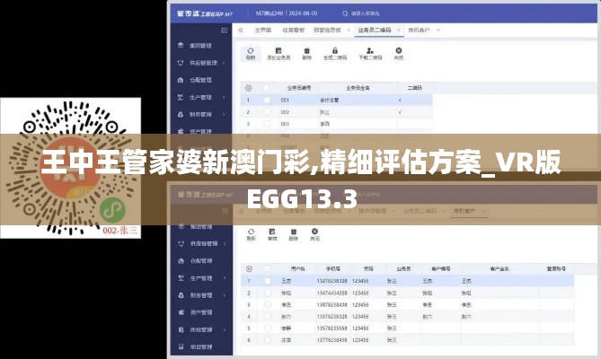 王中王管家婆新澳門彩,精細評估方案_VR版EGG13.3