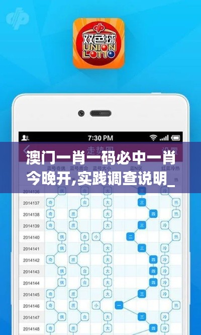澳門一肖一碼必中一肖今晚開,實踐調查說明_權限版ABM13.77