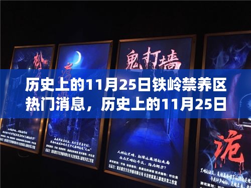 歷史上的11月25日鐵嶺禁養區事件回顧與最新消息速遞