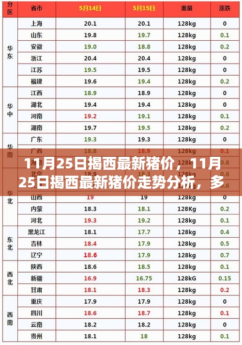 11月25日揭西最新豬價走勢分析,多方觀點與個人立場碰撞