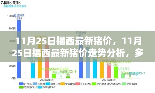 11月25日揭西最新豬價走勢分析,多方觀點與個人立場碰撞
